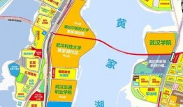 武汉洪山区最新爆料,揭秘神秘事件背后的真相